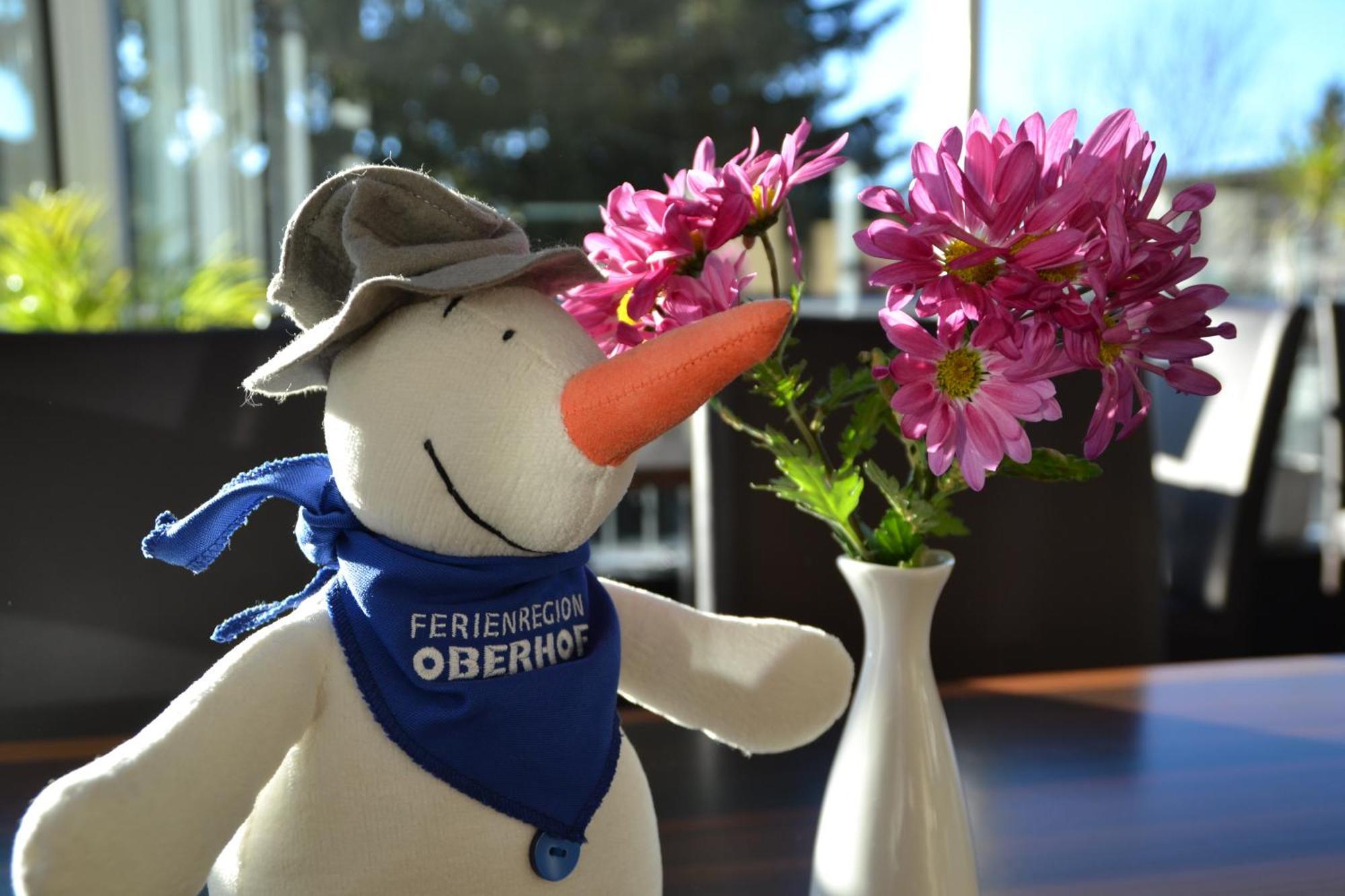 Aparthotel Sonnenhang Oberhof (Thuringia)